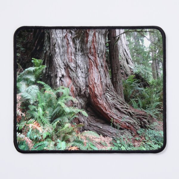 Item preview, Giant Redwoods Rainforest 06 designed and sold by MoodyMuseArt.