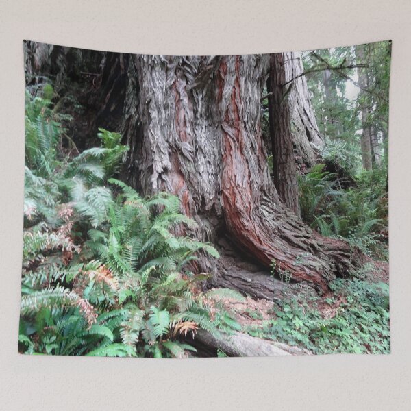 Item preview, Giant Redwoods Rainforest 06 designed and sold by MoodyMuseArt.