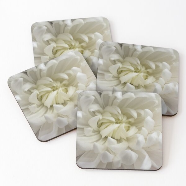 Item preview, Quiet Beauty designed and sold by Betsy Phillips.