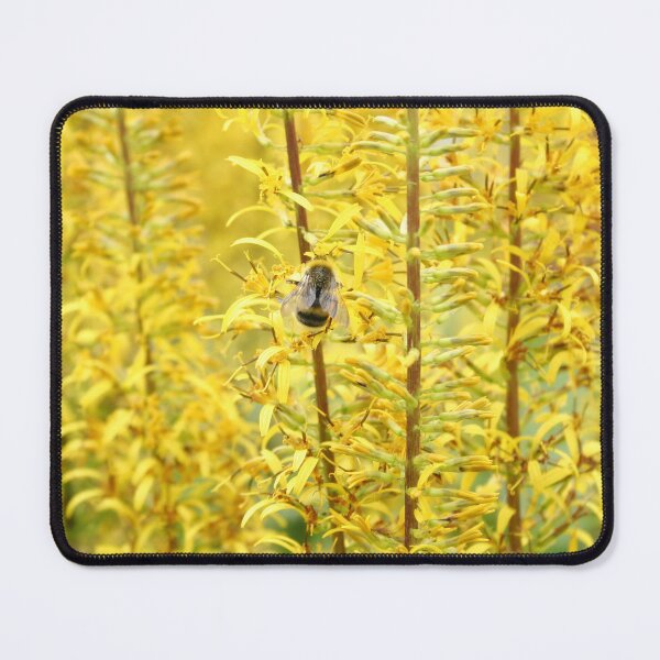 Item preview, Bee on Yellow Flowers in Soft Summer Light designed and sold by katifinell.