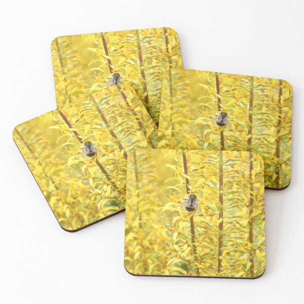 Item preview, Bee on Yellow Flowers in Soft Summer Light designed and sold by katifinell.