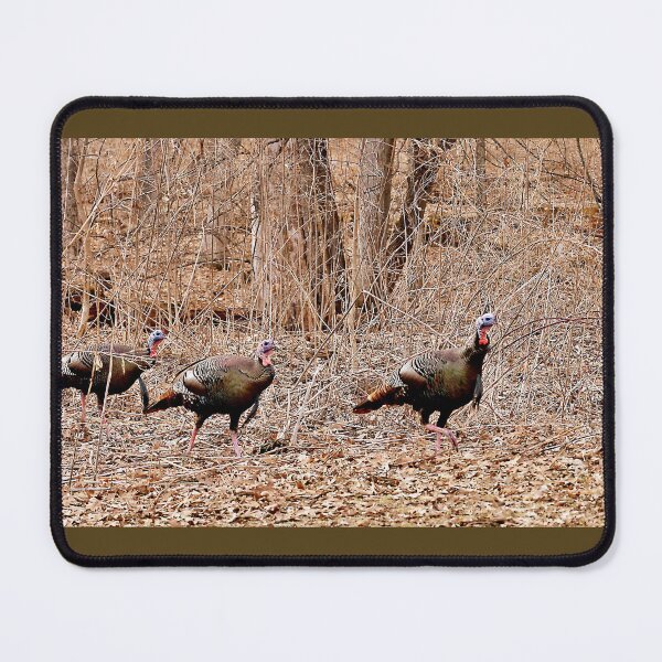Item preview, Turkeys in the Park designed and sold by Martha Sherman.