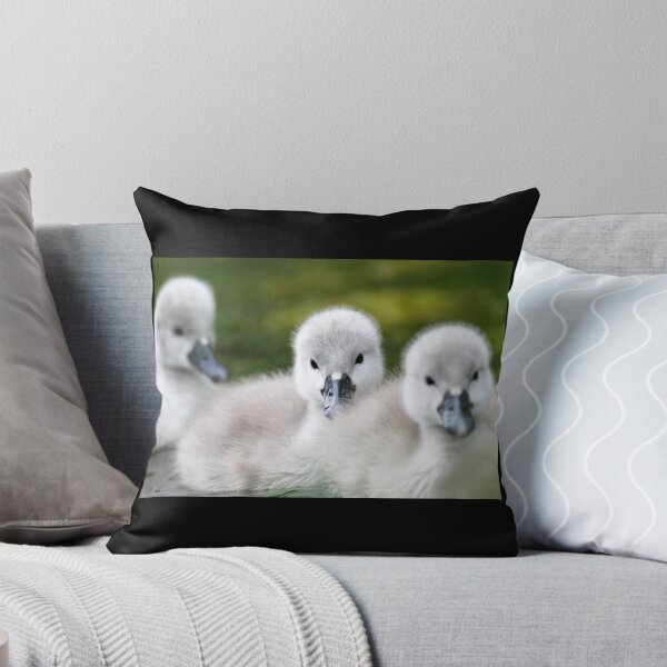 Item preview, Adorable Baby Swans (Cygnets) Swimming – Cute Wildlife Nature Photography designed and sold by ZabierShop.