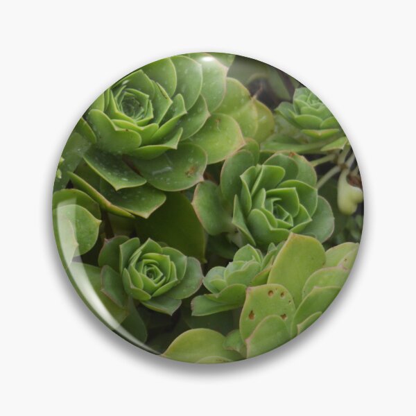 Item preview, desert rose echeveria designed and sold by MissDucklette.