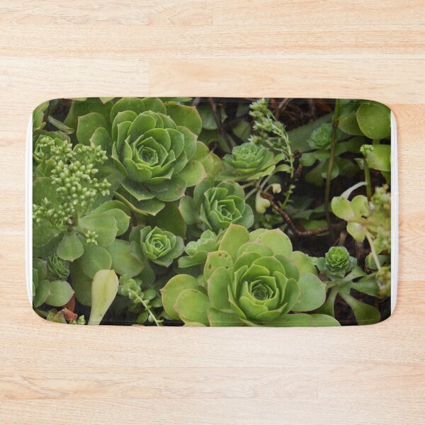 Item preview, desert rose echeveria designed and sold by MissDucklette.