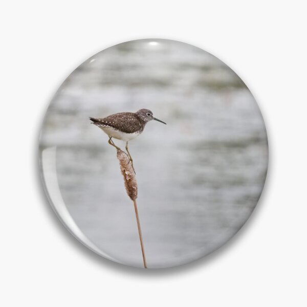 Item preview, SOLITARY SANDPIPER designed and sold by adumont1.