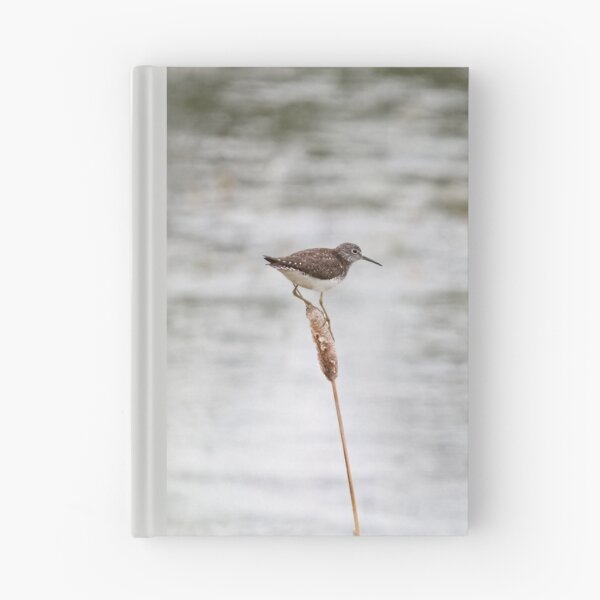 Item preview, SOLITARY SANDPIPER designed and sold by adumont1.