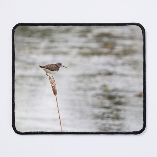 Item preview, SOLITARY SANDPIPER designed and sold by adumont1.