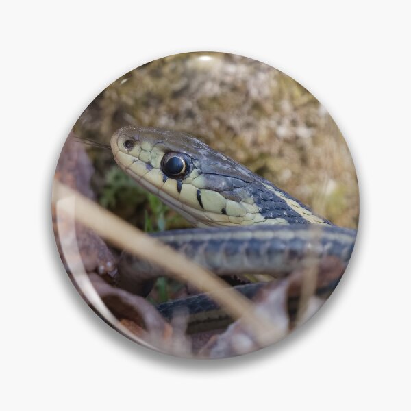 Item preview, SNAKE IN THE GRASS designed and sold by adumont1.