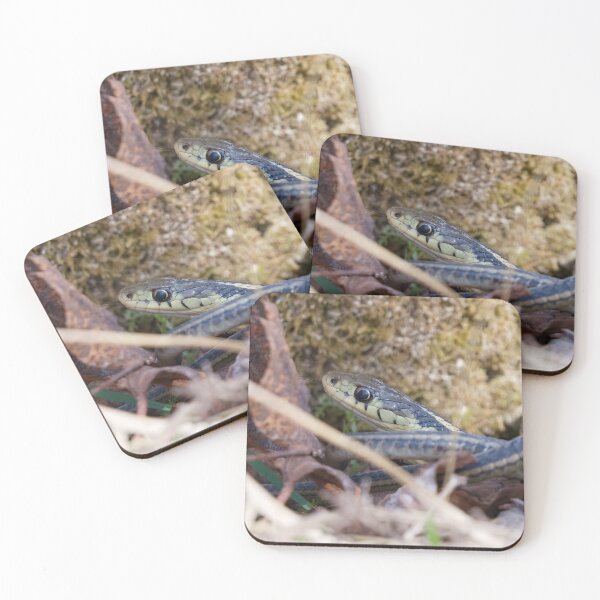 Item preview, SNAKE IN THE GRASS designed and sold by adumont1.