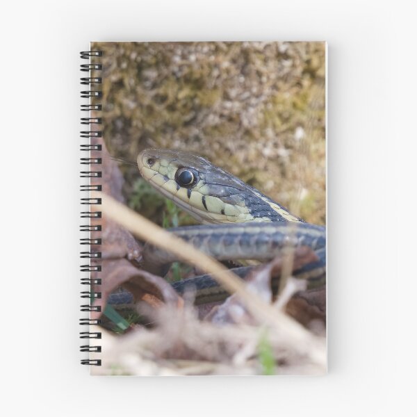 Item preview, SNAKE IN THE GRASS designed and sold by adumont1.