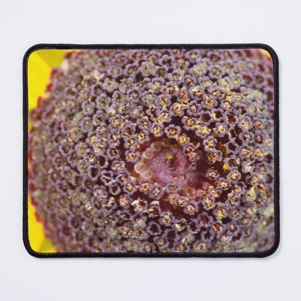 Item preview, SUNFLOWER CENTER designed and sold by adumont1.