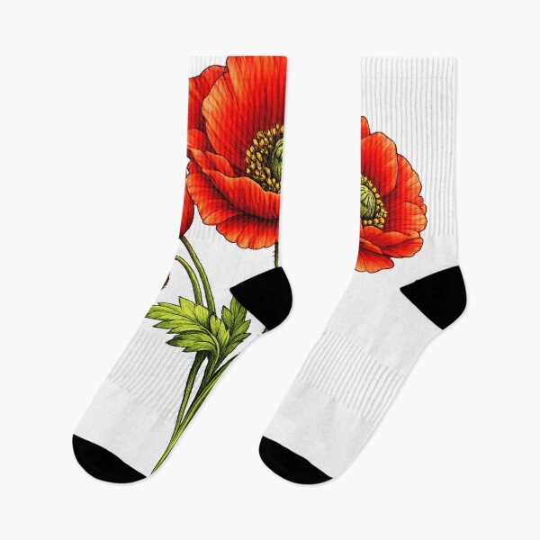 Artikelvorschau, Botanische Illustration einer leuchtend roten Mohnblume entworfen und verkauft von ssmg80.