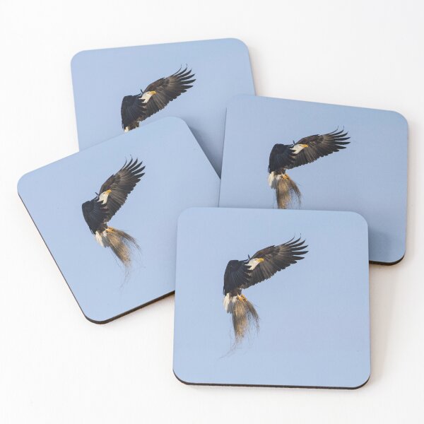 Item preview, Adult Bald Eagle bringing grass to the nest. 2-26-2026  designed and sold by Thomasyoung.