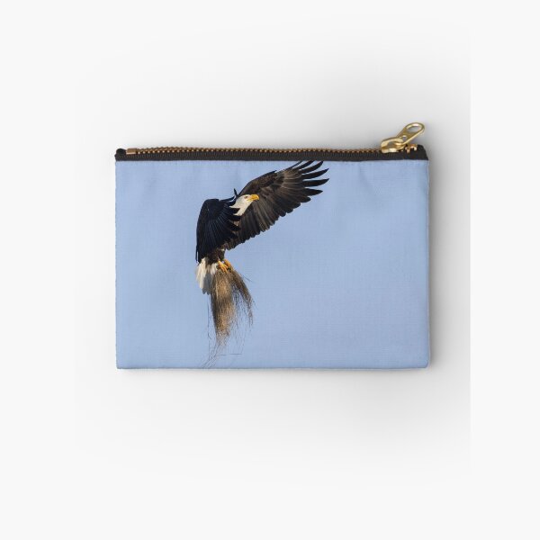 Item preview, Adult Bald Eagle bringing grass to the nest. 2-26-2026  designed and sold by Thomasyoung.