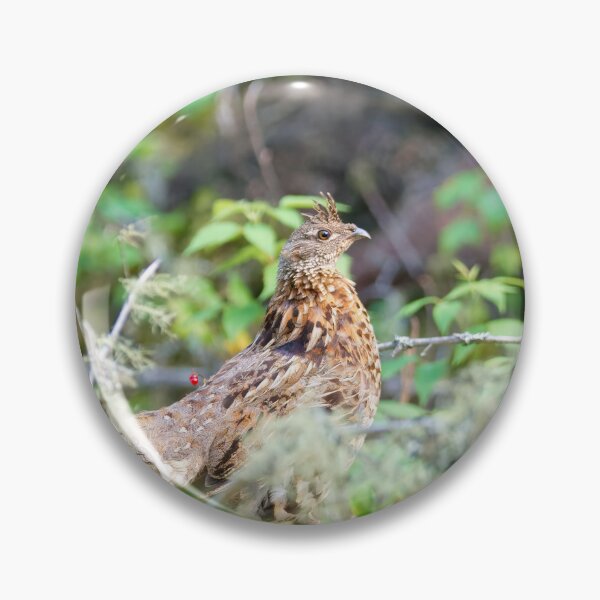 Item preview, RUFFED GROUSE designed and sold by adumont1.
