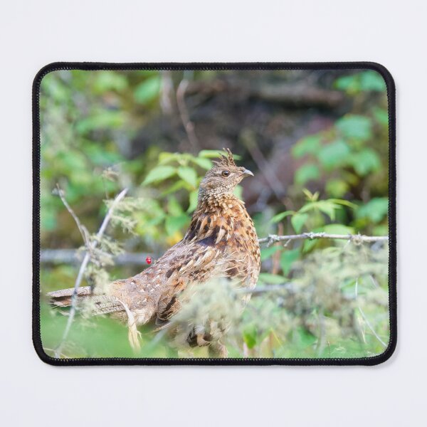 Item preview, RUFFED GROUSE designed and sold by adumont1.