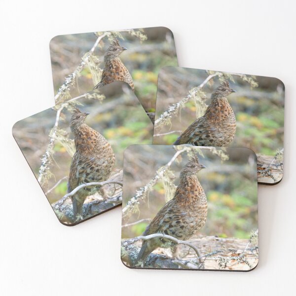 Item preview, FOREST CHICKEN designed and sold by adumont1.
