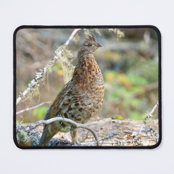 Item preview, FOREST CHICKEN designed and sold by adumont1.