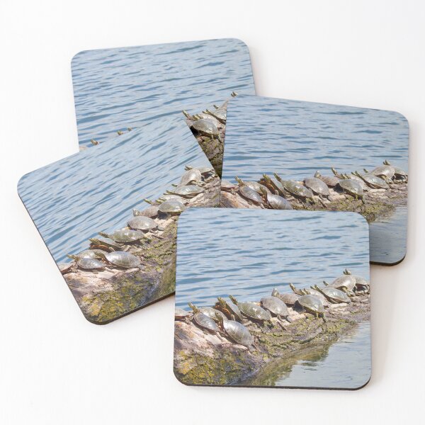 Item preview, A HEAP OF TURTLES designed and sold by adumont1.