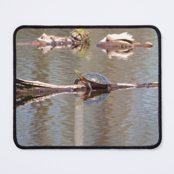 Item preview, PAINTED TURTLE designed and sold by adumont1.