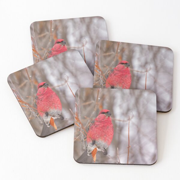 Item preview, MALE PINE GROSBEAK designed and sold by adumont1.