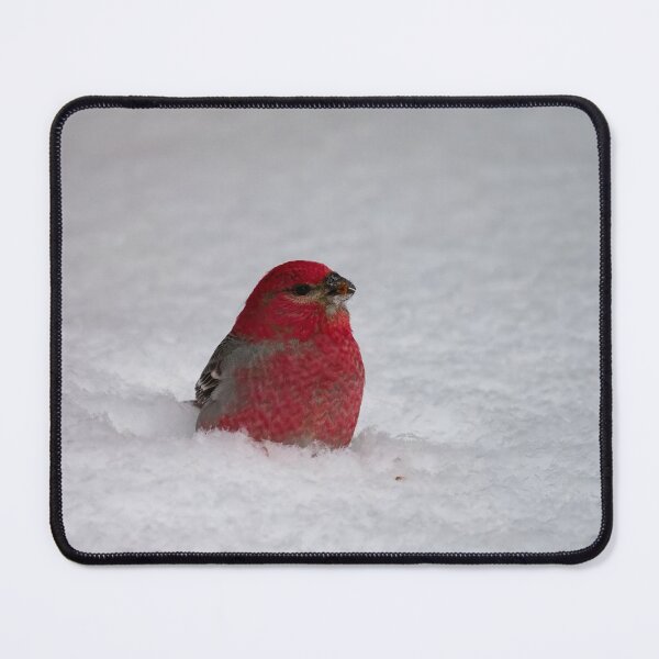 Item preview, SITTING IN THE SNOW designed and sold by adumont1.