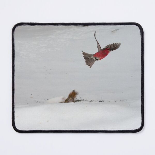 Item preview, THE FOOD GUARD designed and sold by adumont1.