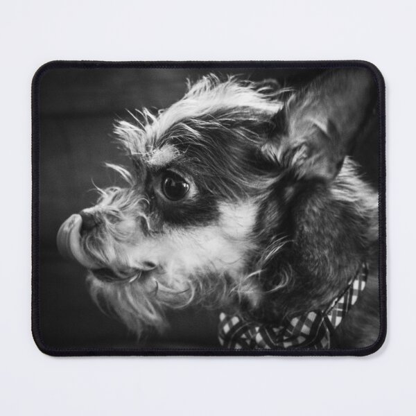 Item preview, Sophisticated Dapper Dog in Checkered Bowtie designed and sold by Avenue-Abstract.