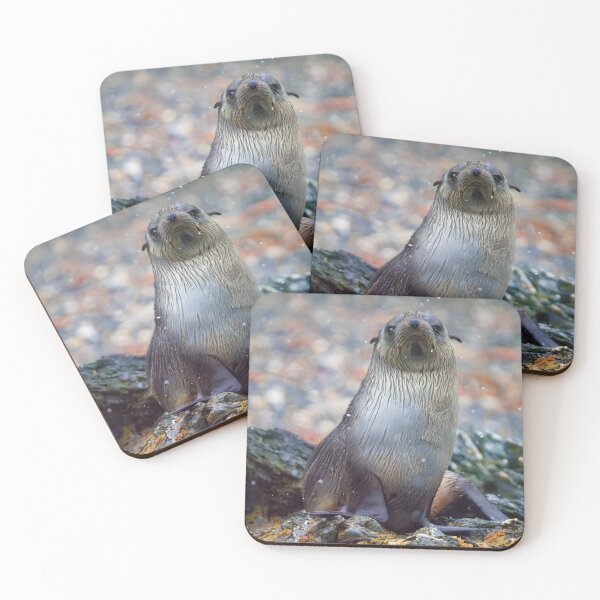 Item preview, BABY SEAL POSING FOR A PHOTO designed and sold by adumont1.