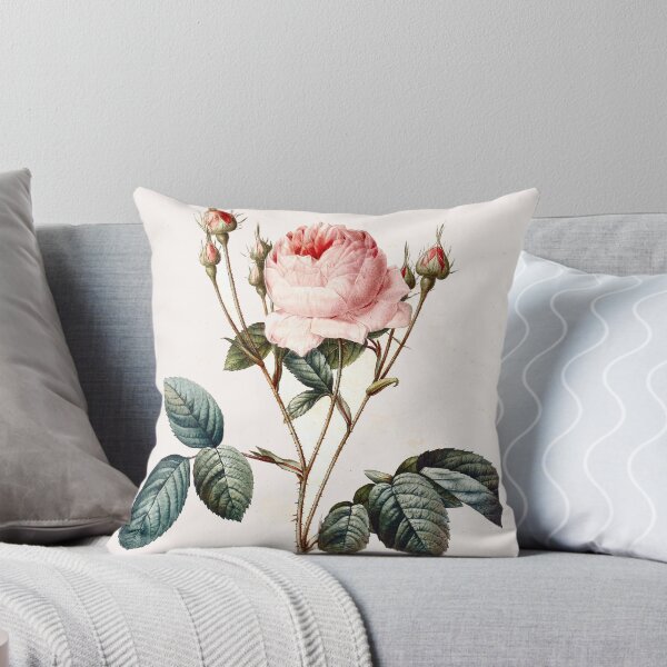Item preview, Vintage Redoute Rose Botanique designed and sold by rosebotanicals.