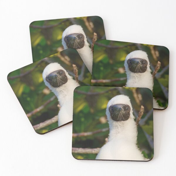 Item preview, WHAT ARE YOU LOOKING AT designed and sold by adumont1.