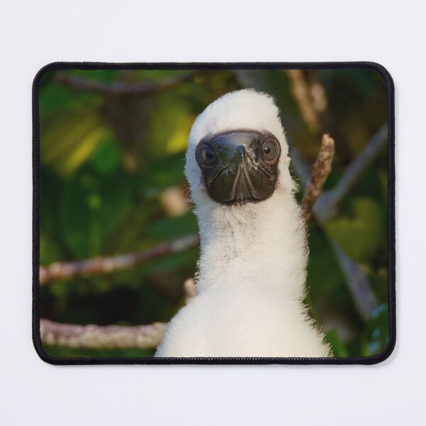Item preview, WHAT ARE YOU LOOKING AT designed and sold by adumont1.