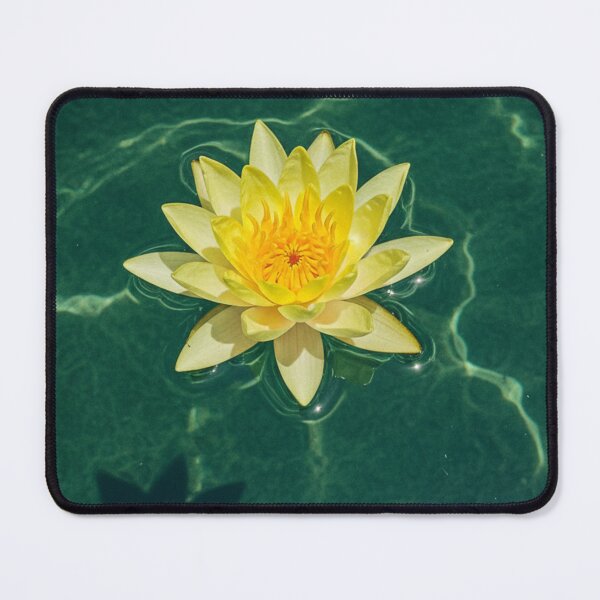Item preview, Water Lily in Emerald Lake designed and sold by HeyHas.