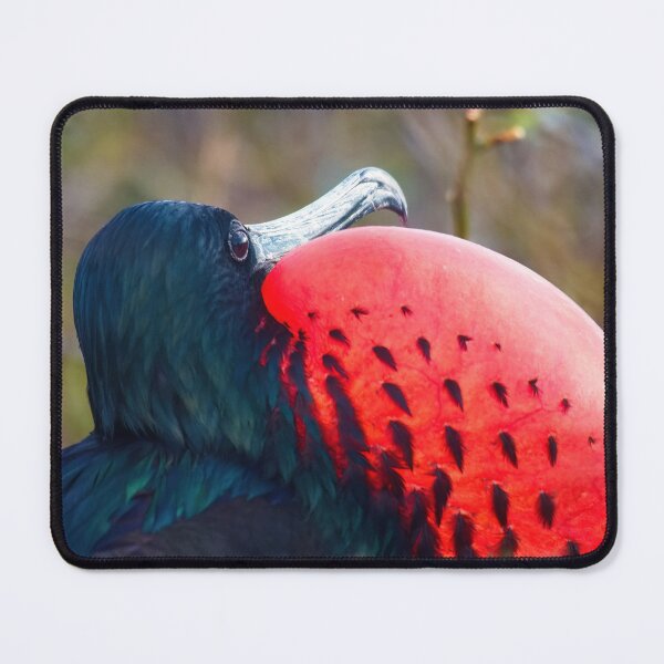 Item preview, TRYING TO GET A DATE designed and sold by adumont1.