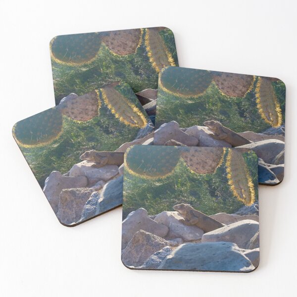 Item preview, LAND IGUANA AND CACTUS designed and sold by adumont1.