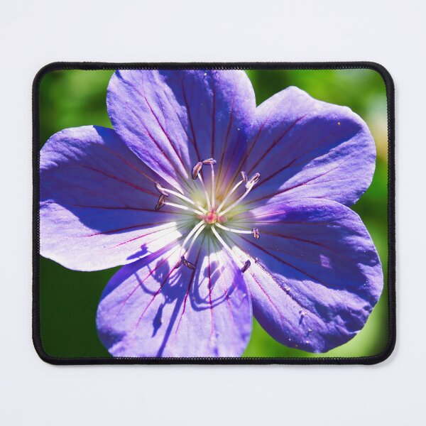 Item preview, PURPLE FLOWER designed and sold by adumont1.