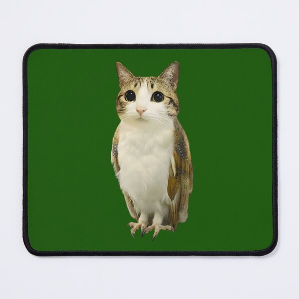 Item preview, Meowl cat designed and sold by Chonk Borris.
