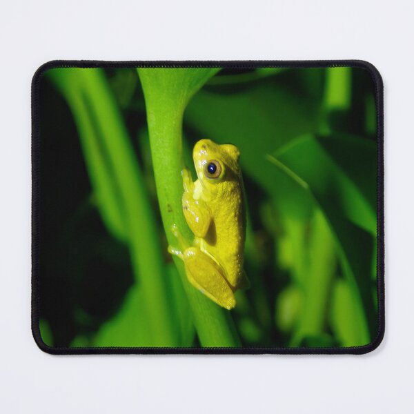 Item preview, LITTLE FROG designed and sold by adumont1.