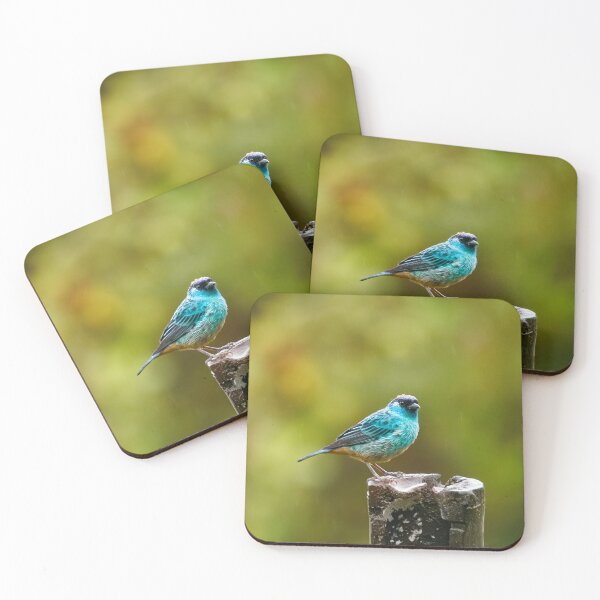 Item preview, BERYL-SPANGLED TANAGER  designed and sold by adumont1.