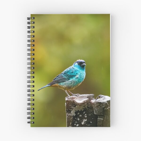 Item preview, BERYL-SPANGLED TANAGER  designed and sold by adumont1.