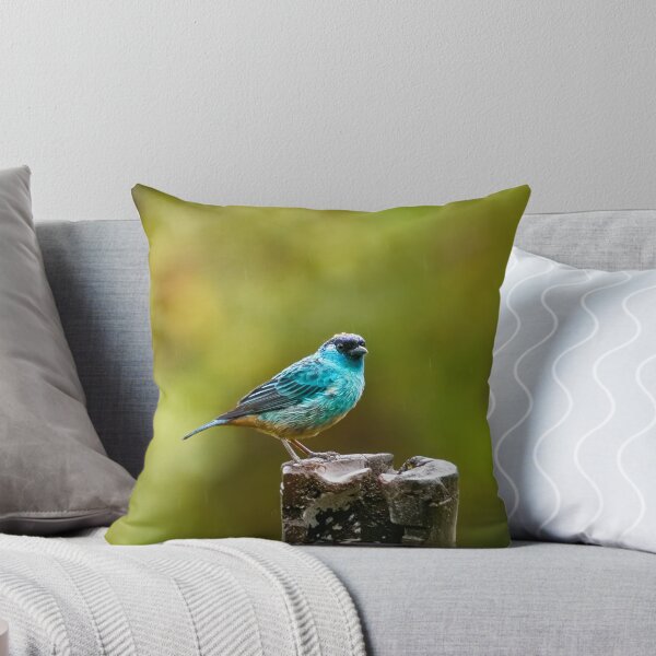 Item preview, BERYL-SPANGLED TANAGER  designed and sold by adumont1.