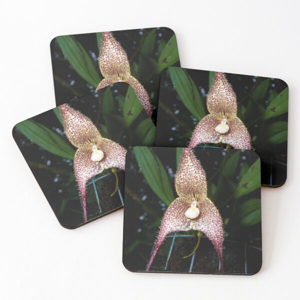 Item preview, PURPLE SPOTTED ORCHID designed and sold by adumont1.