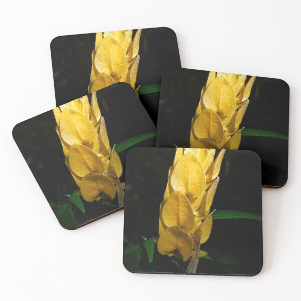 Item preview, GOLDEN SHRIMP PLANT designed and sold by adumont1.