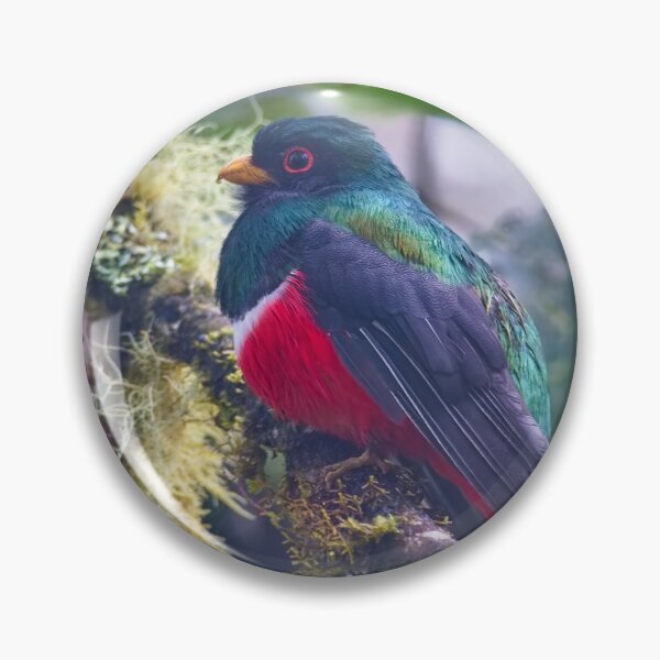 Item preview, MASKED TROGON designed and sold by adumont1.