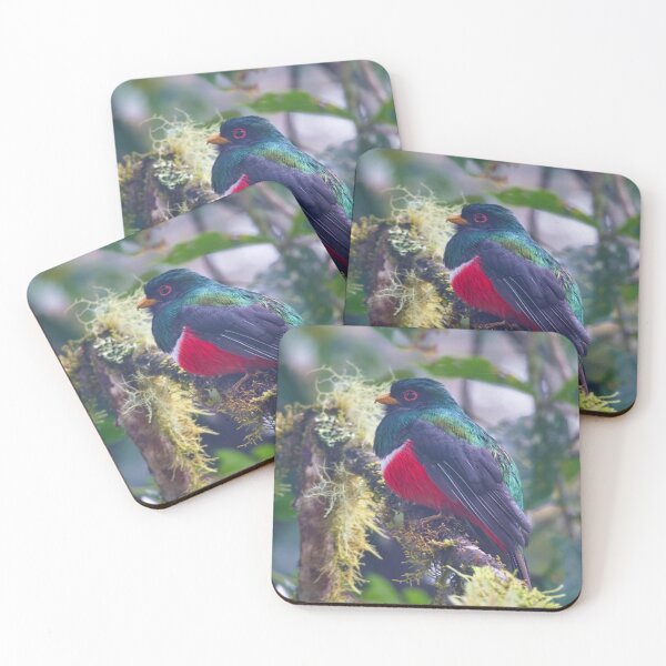 Item preview, MASKED TROGON designed and sold by adumont1.