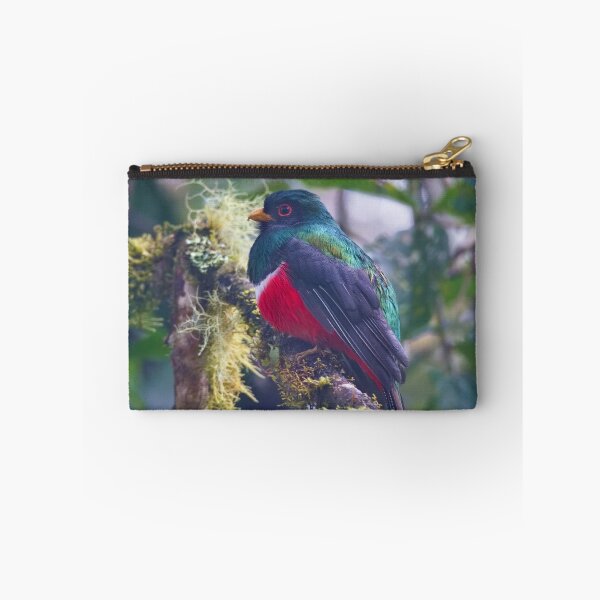 Item preview, MASKED TROGON designed and sold by adumont1.