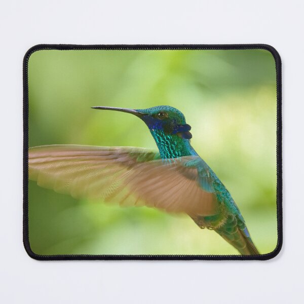 Item preview, SPARKLING VIOLETEAR designed and sold by adumont1.
