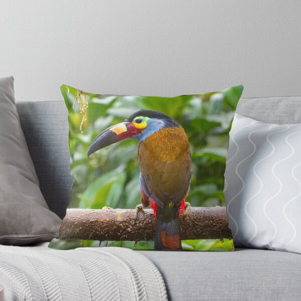 Item preview, PLATE-BILLED MOUNTAIN TOUCAN designed and sold by adumont1.