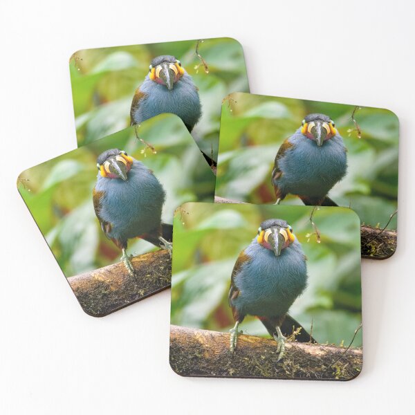 Item preview, PLATE-BILLED MOUNTAIN TOUCAN LOOKING AT YOU designed and sold by adumont1.